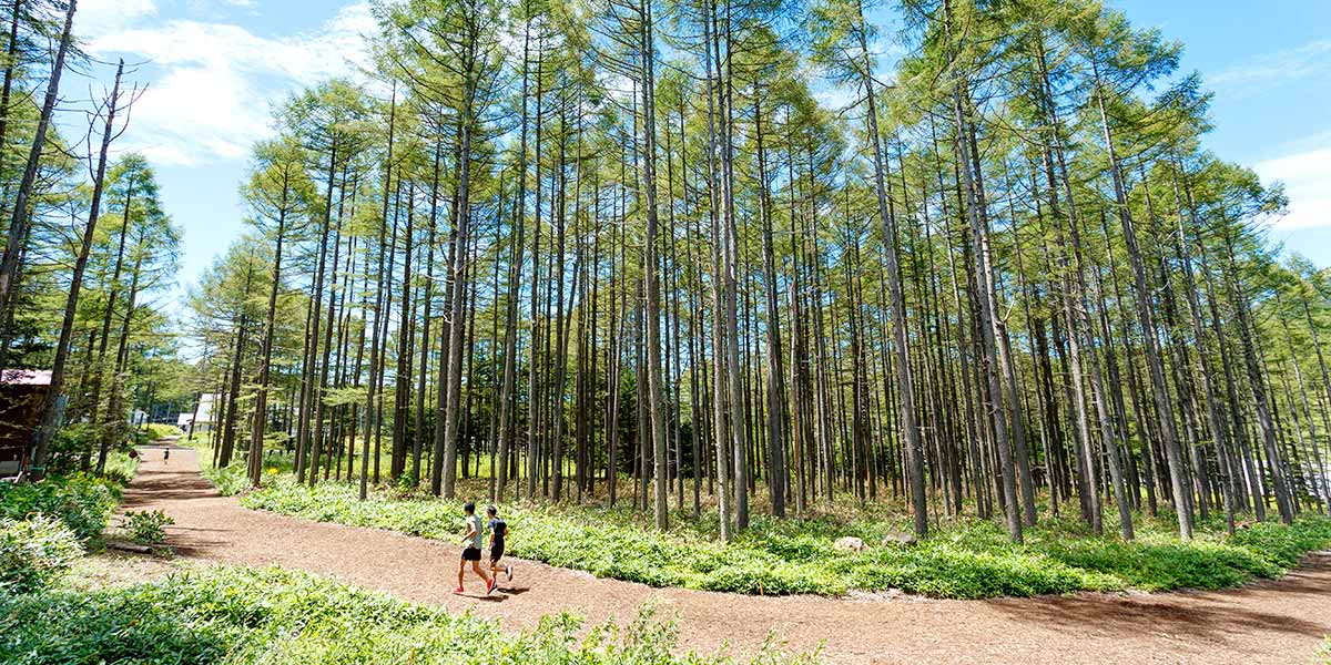 林間800mジョギングコース